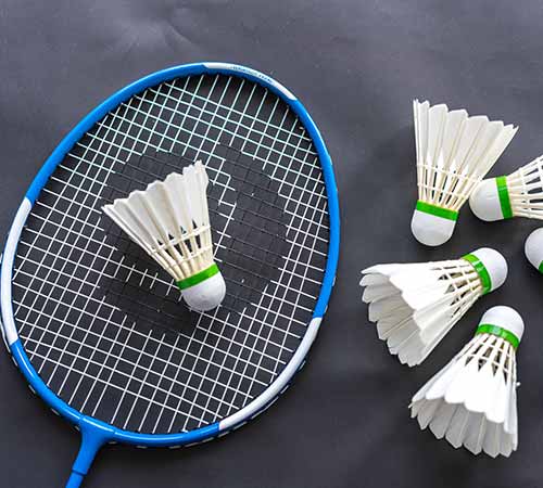 独立理事的 独立理事的