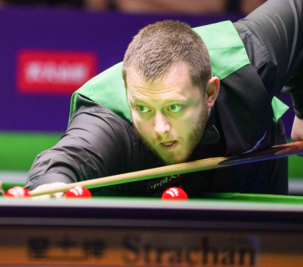 不仅仅是一 不仅仅是一